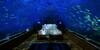 Dua Negara Bersaing Bangun Hotel Mewah Bawah Laut