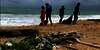 Viral Sampah Indonesia Sampai Thailand dan Bunuh Hewan Laut