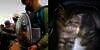 Gak Mau Pisah, 3 Kucing Ikut Mudik Naik Perahu, Satu Ekor Mabuk