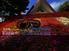 Chiang Mai Flower Festival 2025: Pesta Warna-Warni Bunga yang Memesona