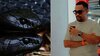 Apa Itu Black Mamba? Dari Julukan Ular Mematikan, Nama Atlet, hingga Jadi Isu Viral yang Menyeret Ahmad Sahroni