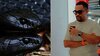 Apa Itu Black Mamba? Dari Julukan Ular Mematikan, Nama Atlet, hingga Jadi Isu Viral yang Menyeret Ahmad Sahroni