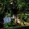 Hore! Kebun Binatang Ragunan Kini Bikin Sesi Visit Malam Hari