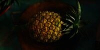 Anak Kecil Ini Ajarkan Cara Bertahan Hidup Lewat Buah Nanas