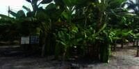 Jangan Ngaku Nge-Hits, Jika Foto Lebaranmu Tak Seperti Ini