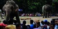 120 Anak Terpisah dari Orangtua Saat Wisata di Ragunan