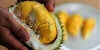 Waduh, Ratusan Orang Dievakuasi Hanya karena Durian