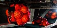 Terkuak Alasan Penjual Buah Jual Jeruk dalam Tas Jala Merah