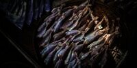 Ikan Asin di China jadi Penyebab Kanker Paling Tinggi