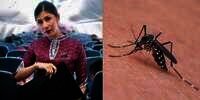 Hanya Satu Gigitan Nyamuk, Pramugari Cantik Ini Meninggal 3 Hari Kemudian