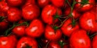 12 Manfaat Tomat untuk Wajah dan Kesehatan