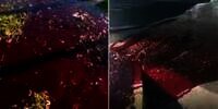 Video Tanah di Turki 'Muntahkan Darah' Usai Terjadi Gempa Dahsyat