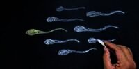 Kabar Buruk, Virus Covid-19 Terdeteksi di Cairan Sperma