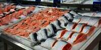 Virus Covid-19 Ditemukan di Talenan, China Tarik Semua Produk Ikan Salmon