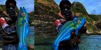 Nyata! Pemancing Tangkap Ikan Berwarna Mencolok Seperti Baru Dicat