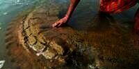 Kuil Berusia 500 Tahun yang Raib Misterius Mendadak Muncul di Tengah Sungai