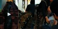 Heboh Video Main Ular Tangga dengan Ular Beneran Sebesar Pohon Kelapa