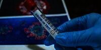 Ilmuwan Inggris Identifikasi 6 Jenis Virus Covid-19, Kabar Baik Buat Pasien!