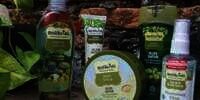 Review: Produk Minyak Zaitun Mustika Ratu untuk Merawat Tubuh