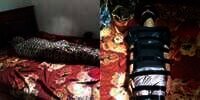 Heboh Gilang Predator Fetish Kain Jarik, Universitas Airlangga Buka Suara