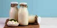 10 Manfaat Susu Kambing Bagi Kesehatan, Atasi Osteoporosis Hingga Diabetes