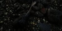 Pulau Horor! Tanah Tertutup Tulang-belulang Manusia