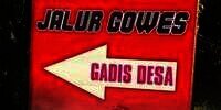 Viral Jalur Sepeda 'Gowes Gadis Desa', Begini Faktanya