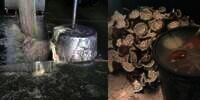Pabrik Super Jorok, Mie Berceceran dan Kelapa Ditaruh Dekat Toilet