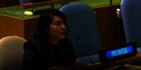 Sosok Silvany Pasaribu, Diplomat RI yang Bungkam PM Vanuatu 