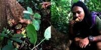 Nekat Makan Sesajen yang Ditemukan di Hutan Angker, Lihat yang Terjadi