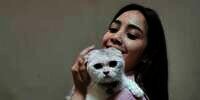 Deretan Kucing Milik Seleb yang Bikin Gemas