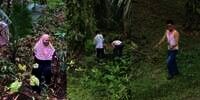 Tergiur Harga Mahal, Bapak-Bapak Berburu Janda Bolong ke Tengah Hutan