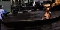Lewat di Jalan Raya yang Banjir, Kendaraan Kakek Banjarmasin Ini Disorot