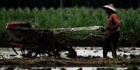 Mentan Gandeng Mendikbud Cetak 2,5 Juta Petani Kekinian