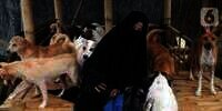 Muhammadiyah Soal Muslimah yang Dipersekusi Gegara Rawat Anjing