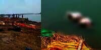 Merinding, Puluhan Mayat Korban Covid India Mengapung di Sungai Gangga