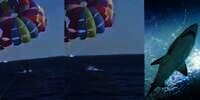 Video Detik-Detik Mengerikan Kaki Pria Diterkam Ikan Hiu Saat Paragliding