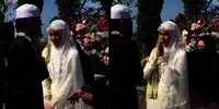 Momen Pengantin Taaruf Malu-Malu Cium Tangan Suami, Malah Salaman Tanpa Sentuhan