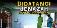 Cerita Seram Tim Pemulasara Pasien Covid-19: Didatangi Jenazah yang Dimandikan