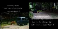Detik-Detik Mendebarkan Harimau Gigiti Ban Mobil Penuh Penumpang
