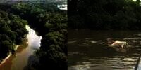Puluhan Bangkai Kambing Tanpa Kepala di Sungai, Diduga Tumbal Aliran Sesat