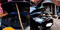 Geger Kap Mobil Jadi Sarang King Cobra Raksasa, Proses Evakuasinya Mendebarkan