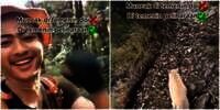 Viral Pendaki Bawa Kucing Oren Peliharaan Naik Gunung, Warganet Auto Takjub
