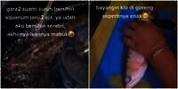 Ikan Arwana Korban Suami Ingkar Janji Bersihkan Akuarium, Berakhir Jadi Hidangan