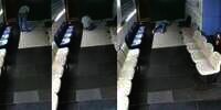 Sujud Terakhir, CCTV Rekam Detik-Detik Akhir Pria Meninggal Dunia saat Sholat