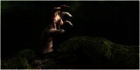 11 Arti Mimpi Zombie, Salah Satunya Ada Perasaan Iri dan Benci yang Terpendam di Hati