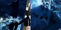 Viral Pria Ini Numpang Cuci Pakaian di Laut, Aksinya Bikin Ngeri!