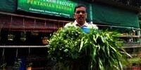 Harga Melambung Tinggi, Pria Ini Ajak Tanam Sayur Sendiri