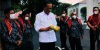 Jokowi Kaget Diberi Oleh-Oleh 3 Ton Jeruk dari Petani Karo yang Minta Jalan Desanya Diperbaiki