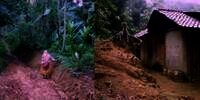 Cerita Nenek 70 Tahun Tinggal di Tengah Hutan, Akses Jalan Sulit Tapi Rumah Ada Parabola